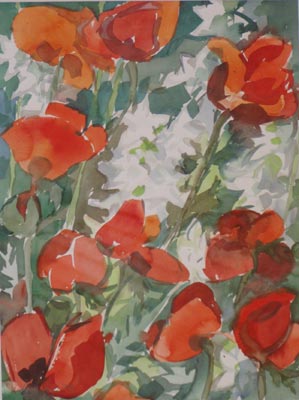 Mohn, 1979